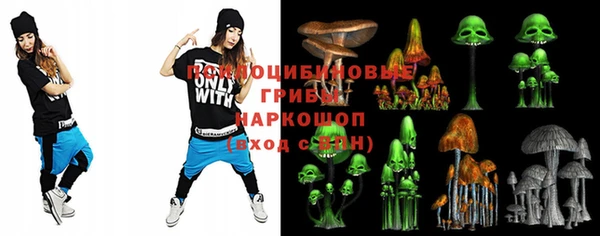дурь Кулебаки
