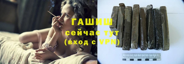 шишки Лабытнанги