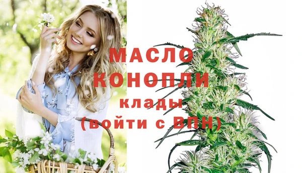 бошки Ладушкин