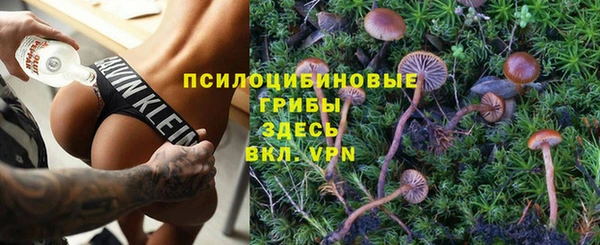 шишки Лабытнанги