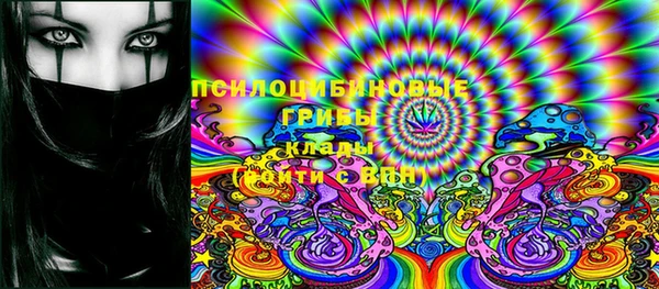 шишки Лабытнанги