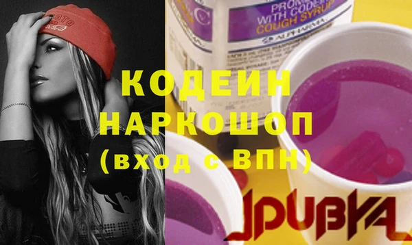 дмт Лагань