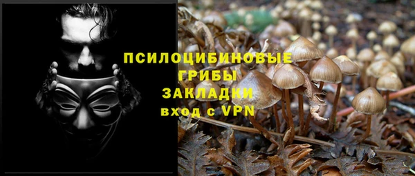 бошки Ладушкин