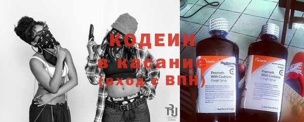 шишки Лабытнанги