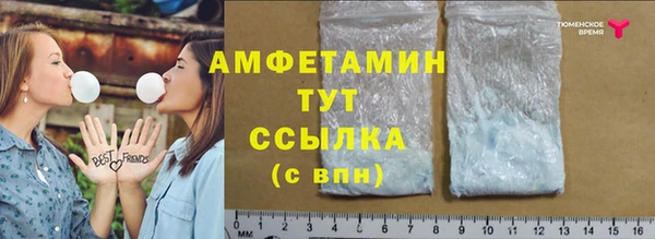 шишки Лабытнанги