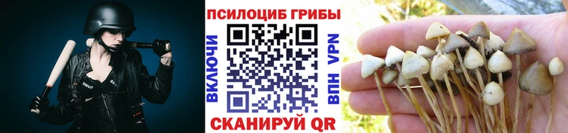 Галлюциногенные грибы Psilocybine cubensis  Липки 